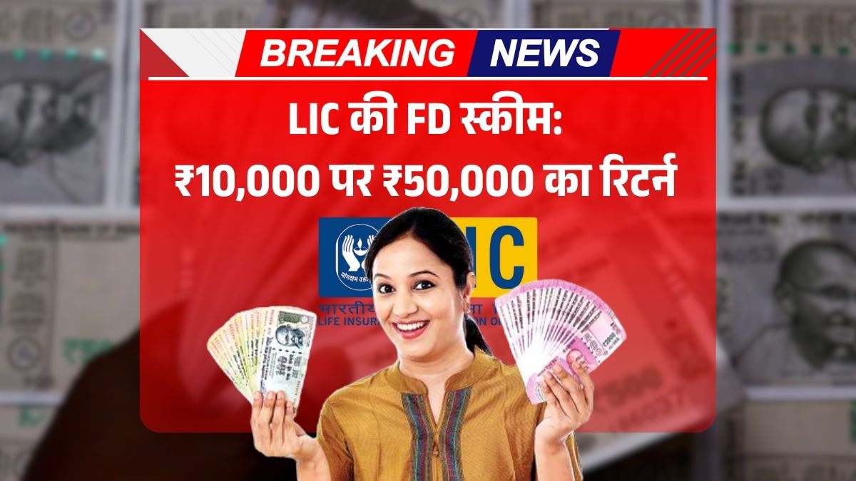 LIC FD Plan