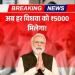 Widow Pension Scheme 2025