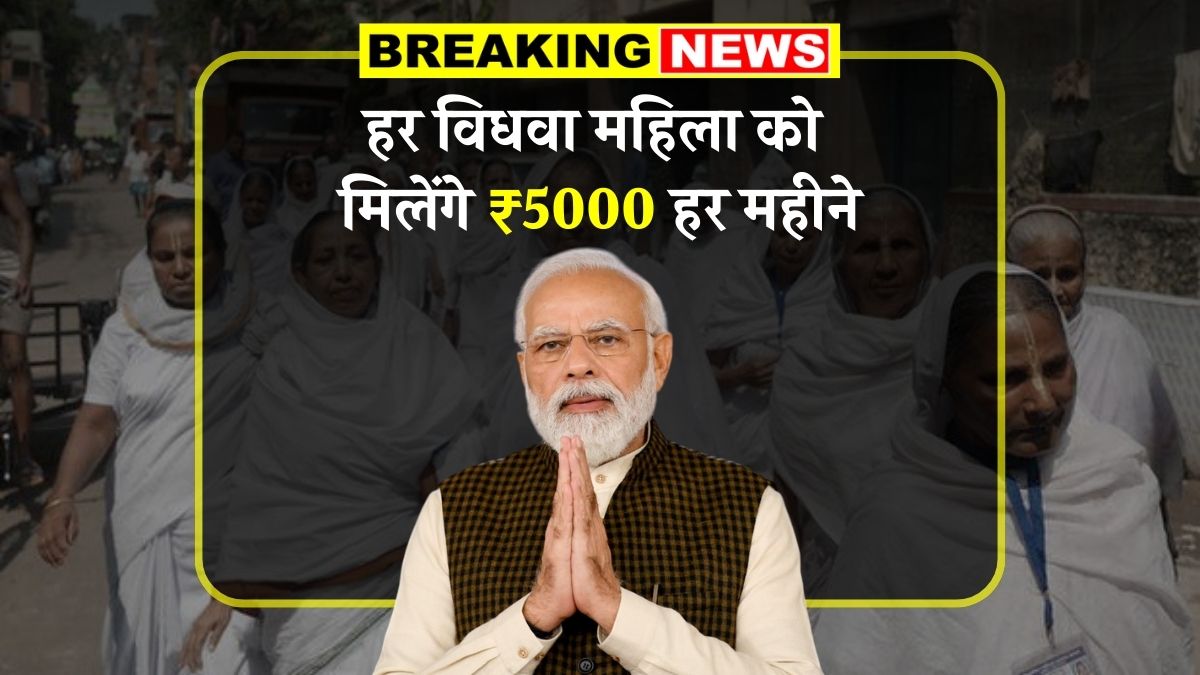 Widow Pension Scheme 2025